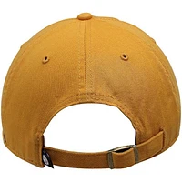 NFL Hat Clean Up Basic Steelers (Gold)