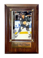 NHL Collectible Plaque with Card 4x6 Upper Deck All-Star David Pastrnak Bruins