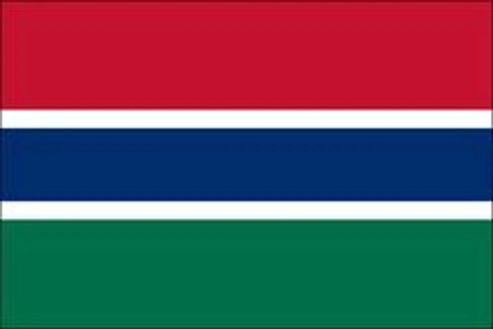 Country Patch Flag Gambia