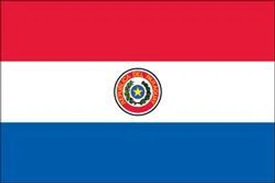 Country Flag 3x5 Paraguay