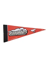 CFL Mini Pennant Stampeders