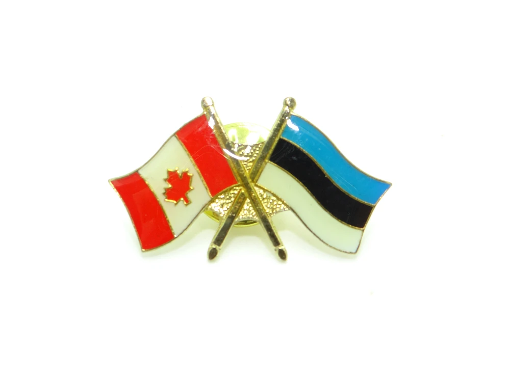 Country Lapel Pin Friendship Estonia