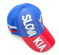 Country Hat 3D Slovakia
