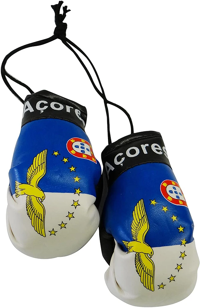 Country Boxing Gloves Set Acores, Portugal