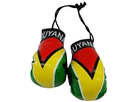 Country Boxing Gloves Set Guyana