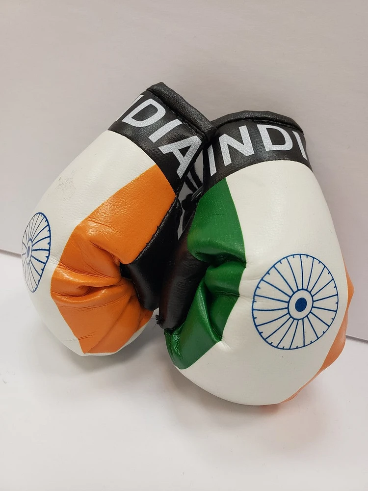 Country Boxing Gloves Set India