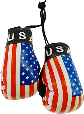 Country Boxing Gloves Set USA