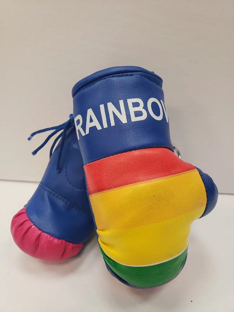 LGBT Boxing Gloves Set