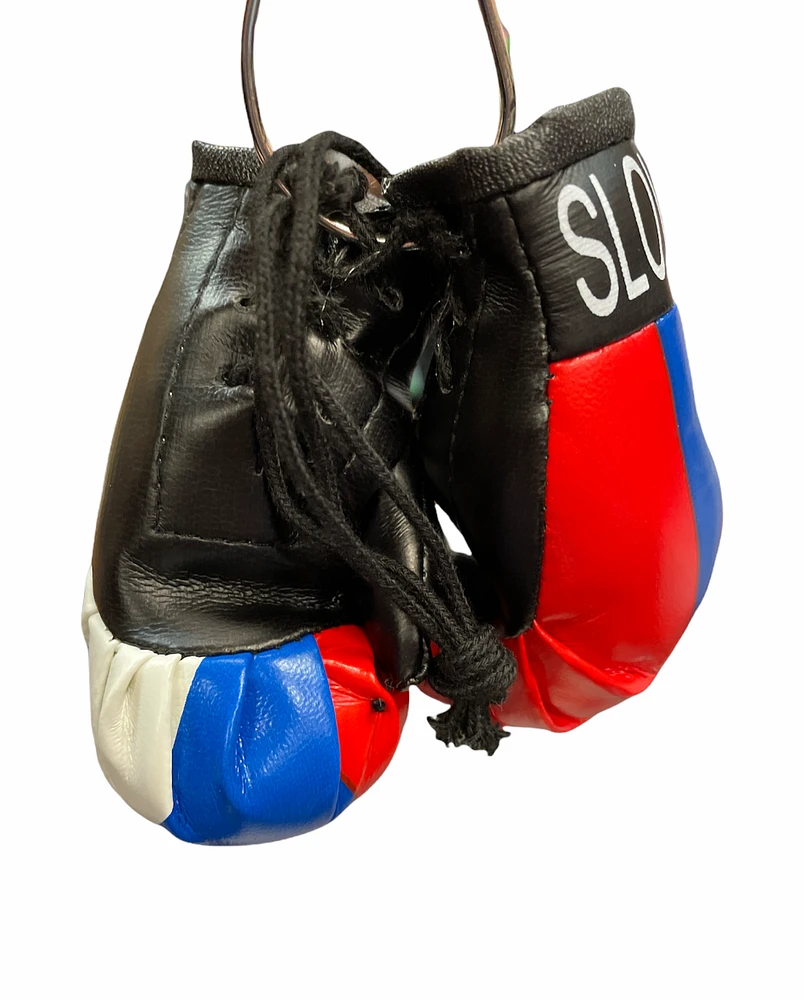 Country Boxing Gloves Set Slovenia