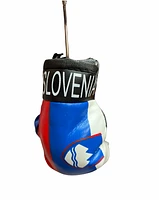 Country Boxing Gloves Set Slovenia