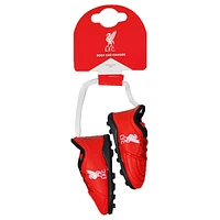 EPL Car Boots Liverpool FC