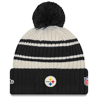 NFL Knit Hat 2022 Sport Steelers