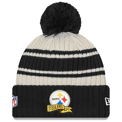 NFL Knit Hat 2022 Sport Steelers