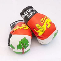 Country Boxing Gloves Set Prince Edward Island, Canada