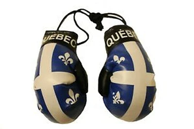 Country Boxing Gloves Set Quebec, Canada