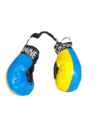 Country Boxing Gloves Set Ukraine