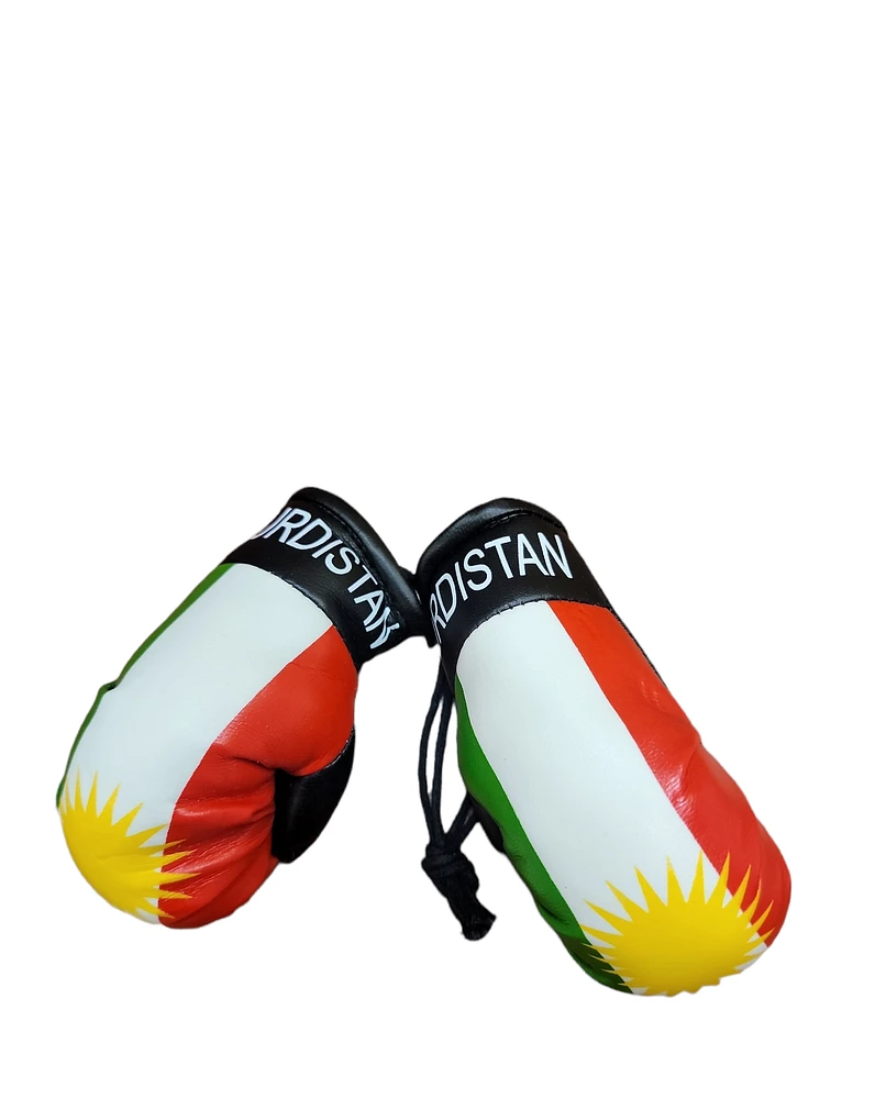 Country Region Boxing Gloves Set Kurdistan