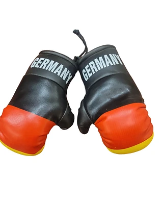 Country Boxing Gloves Set Germany (Large)