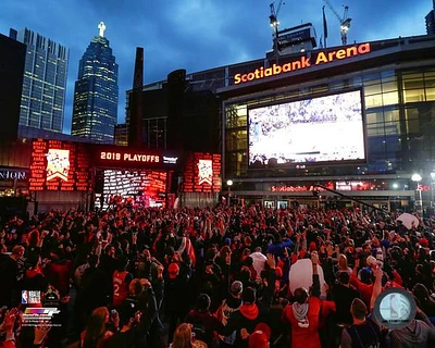 NBA 16x20 Photograph Jurassic Park Champs 2019 Raptors