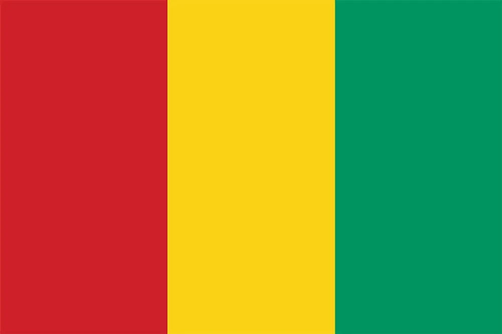 Country Flag 3x5 Guinea