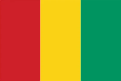 Country Flag 3x5 Guinea