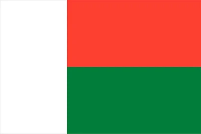 Country Flag 3x5 Madagascar