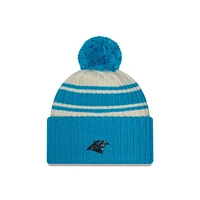 NFL Knit Hat 2022 Sport Panthers