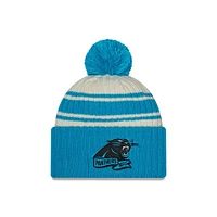 NFL Knit Hat 2022 Sport Panthers