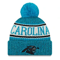 NFL Knit Hat On Field 2018 Sport Panthers