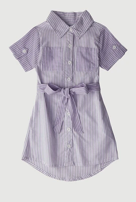 Little Girls Color Block Stripe Shirt Dress, Purple, Size 4