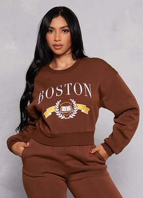 Womens City Graphic Embroidered Pullover Sweatshirt, Brown, Size M