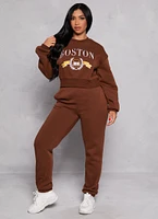 Womens City Graphic Embroidered Pullover Sweatshirt, Brown, Size M