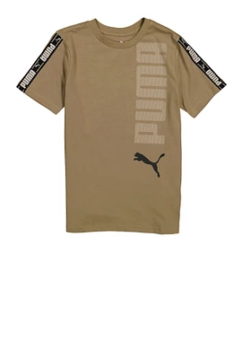 Boys Puma Logo T Shirt, Brown,