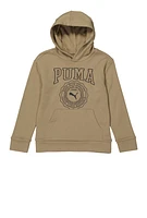 Boys Puma Graphic Pullover Hoodie, Beige,