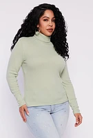 Womens Plus Rib Knit Turtleneck Top, 4X