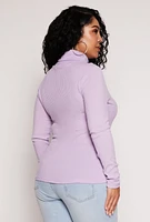 Womens Plus Size Rib Knit Turtleneck Top, Purple, Size 2X