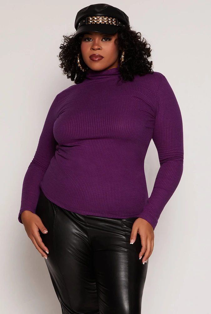 Womens Plus Size Basic Ribbed Knit Turtleneck Top, Purple, Size 1X