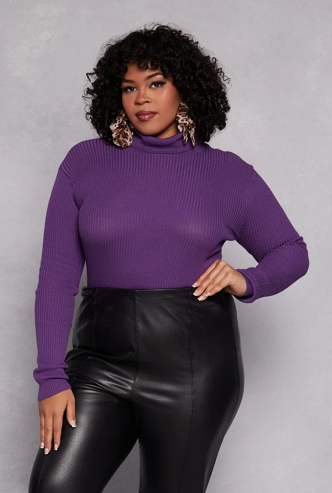 Womens Plus Ribbed Knit Pullover Turtleneck Top, Purple,