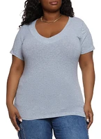 Womens Plus Size Basic V Neck Tee, Grey, Size 2X