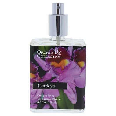 Cattleya Orchid
