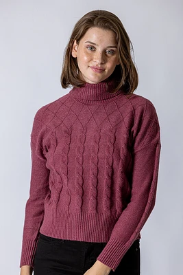 Le tricot texturé col roulé