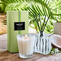 Coconut and Palm Reed Diffuser