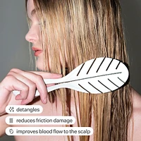 Detangling Hair Brush