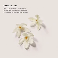 Néroli du Sud Serum Body Cream