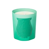 Under The Trees Classic Candle