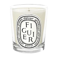 Figuier Candle