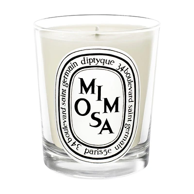 Mimosa Candle