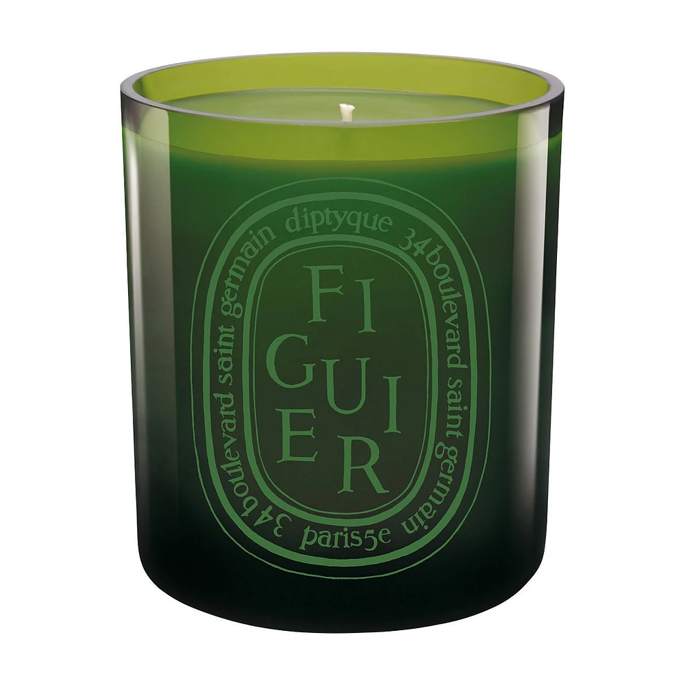 Figuier / Fig Tree Verte Candle