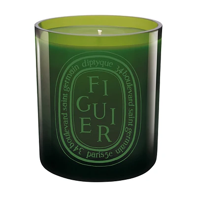 Figuier / Fig Tree Verte Candle