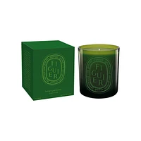 Figuier / Fig Tree Verte Candle